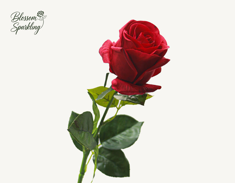 Real Touch Venus Rose